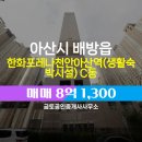 금토공인중개사사무소 이미지