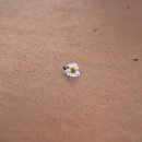 한 걸음 더 부동산 재테크 이미지