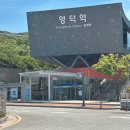 울진이모네 이미지