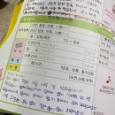 셀럽도기 이미지