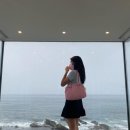 [디자이너브랜드] Slow cabinet | 슬로우 캐비닛 구매후기 리뷰 🎀 바비인형 가방