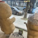 6072 | [강릉 소품샵] 삶은감자 / 이발소 : 강릉역 근처 아기자기한 소품샵 추천(내돈내산 후기)