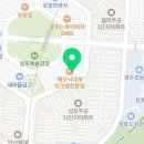 롤킹롤러스케이트