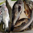 조도대교 이미지