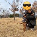 어룡세천 이미지