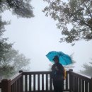 호명마을회관 이미지