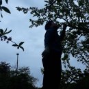 방실농장 이미지