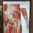 녹번한의원 | 녹번한의원 후기 내돈내산 - 녹번역 한의원 중 최고! 너무너무 좋다 오후 9시까지 직장인이 다니기 좋은...