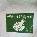 [화명동 가족사진 추천] 부산 애견동반 사진관 산다오(산책간다고했잖아요) 대만족 후기