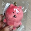 나가노마켓 직구 후기(컬러곰 재입고)+짐패스 후기