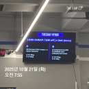 유진상재 | 10.21-23 인테리어 디자이너 직장인 하루