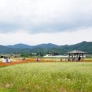 호수담다