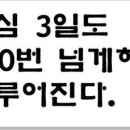 타이혼 복싱 킥복싱 이미지