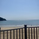 바이드302 이미지