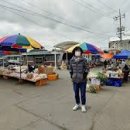 시종시장 이미지