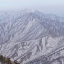 영운민박 Daum카페