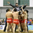 태안군청 중부매일