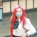 샤샤 이미지