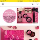 선혜바디