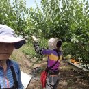 해오름농장-2 이미지