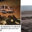 올봄에는 타임머신 타고 '쥐라기 공원'에 가볼까 이미지