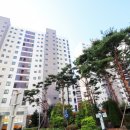 세류공인중개사사무소 이미지