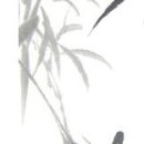 [우리말123] 낫다,났다,낮다,낳다 이미지