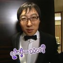 전남 담양) 분위기 좋은 카페 '태즈' 내돈내산 후기