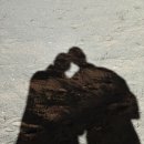 윤진식당 | 85. 2026년이다 잘하는거=미루기, 못하는거=바로하기