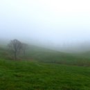 가을목장 이미지