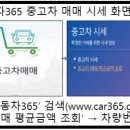 365차차차 이미지
