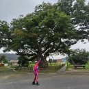 대전둘레산길(11구간) 이미지