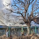 용산-현장-87 이미지