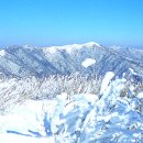 (유)우리주유소 이미지