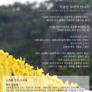 뉴뽕밭 | 시대의 경계에서 일인칭으로 말 걸기 - 이 책 한 권! / 임병구_인천석남중 교장