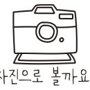 삼강공인중개사사무소 이미지