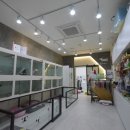 오드리펫 이미지