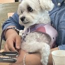 수재농장 이미지