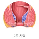 둔산이내훈의원 이미지