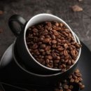 바디퍼포먼스 짐 이미지