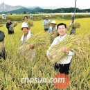 고성녹즙