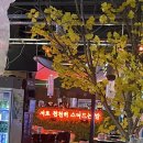 팔거역 | 대구 팔거역 술집 “수풀림” 후기