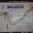 용마당구장 - 광진구 긴고랑로 57 | 용마당구장