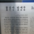 보성의영광