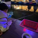 도시어부낚시카페 | 인천 주안 실내낚시카페 도시어부