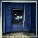 트리탑스 카카오 검색결과