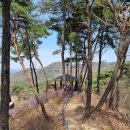 원주굽이길 원4코스 명봉산진달래길 이미지