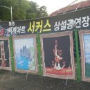 통영서커스 이미지