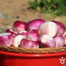 (주)나라아이엔씨 이미지