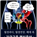 경희배한의원 이미지